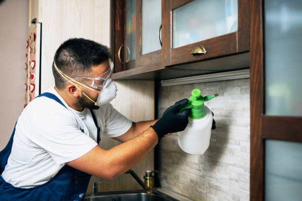 Best Flea Control Services  in Cathcart, WA