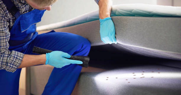 Best Local Pest Control Services  in Cathcart, WA