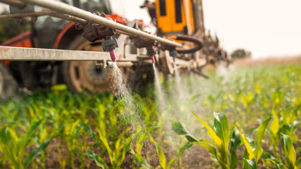 Best Pest Removal Services  in Cathcart, WA